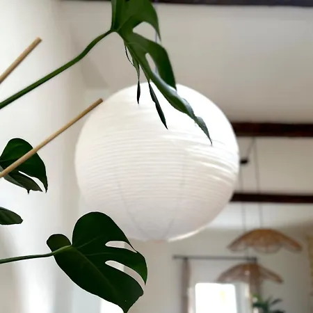 Apartamento La Casita , T2, Figuerolles Centre Montpellier